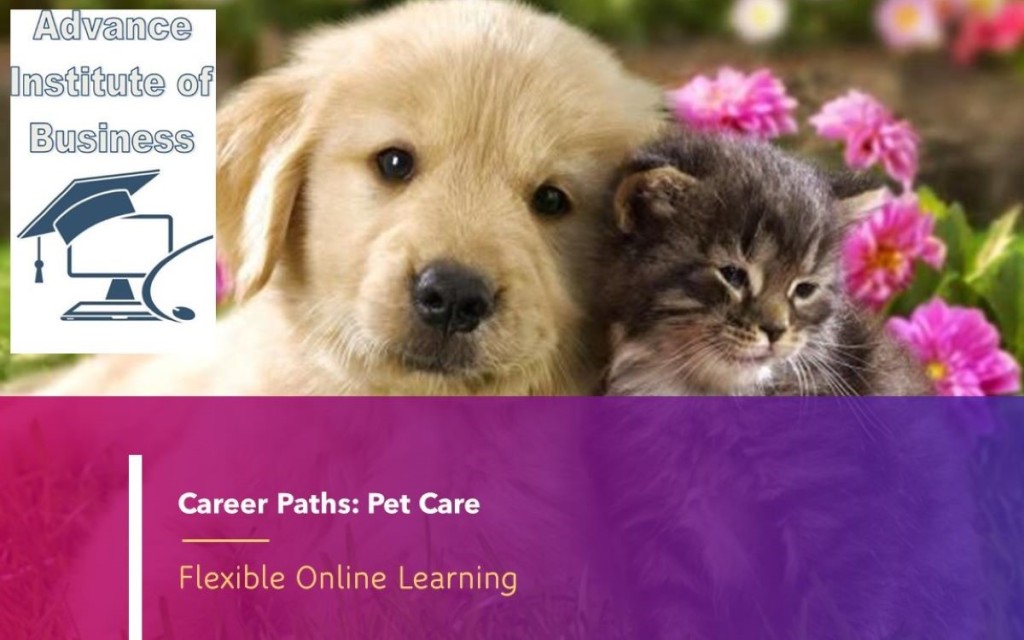Career Path Courses: Pet Care